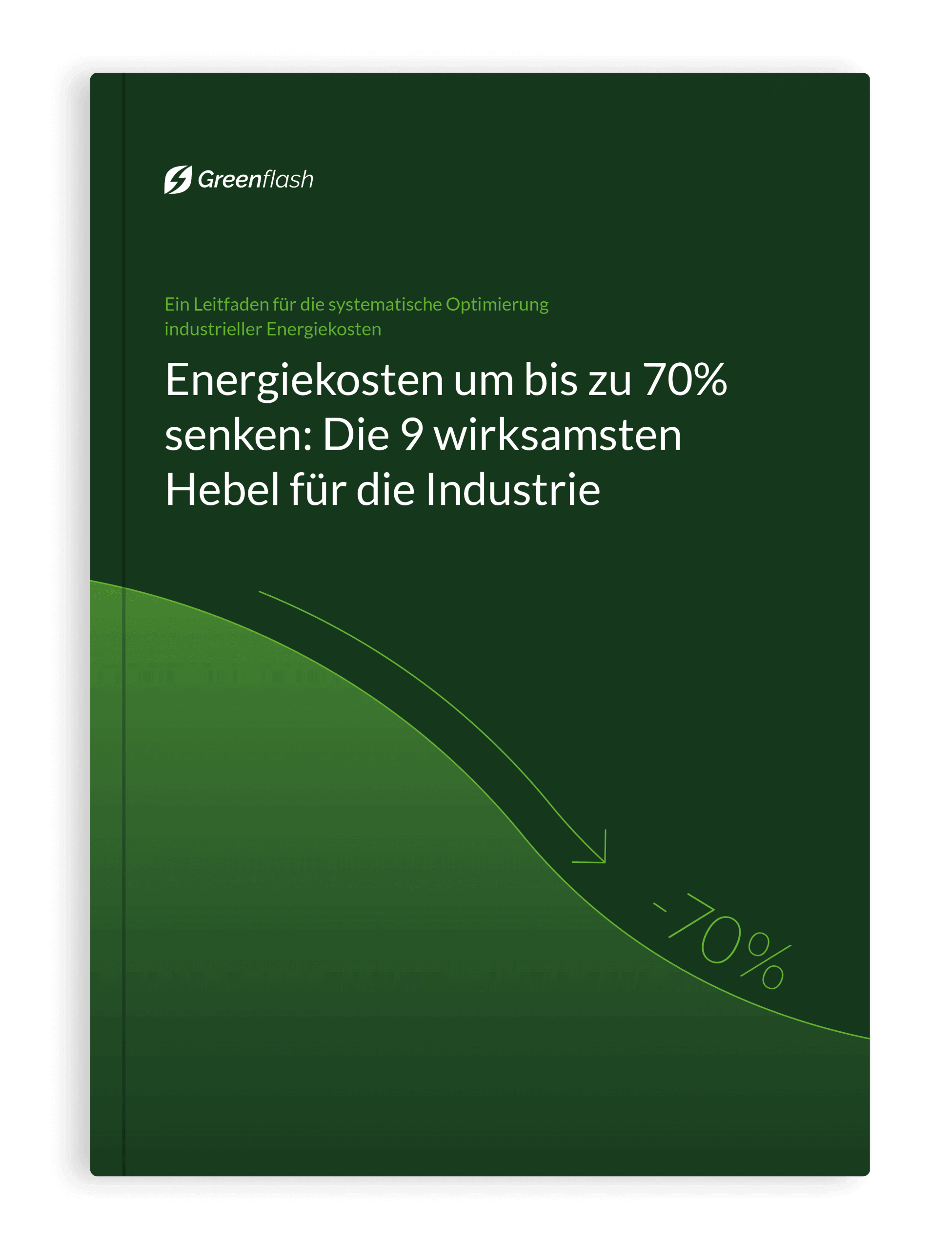 Leitfaden für die systematische Optimierung von indutriellen Energiekosten